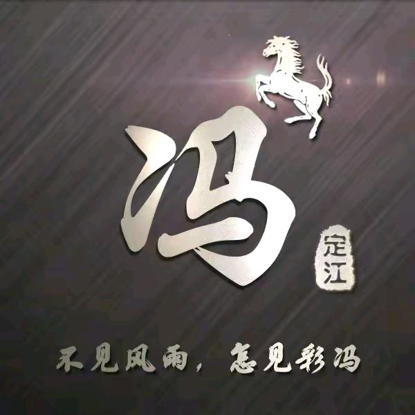 野马（助力号）