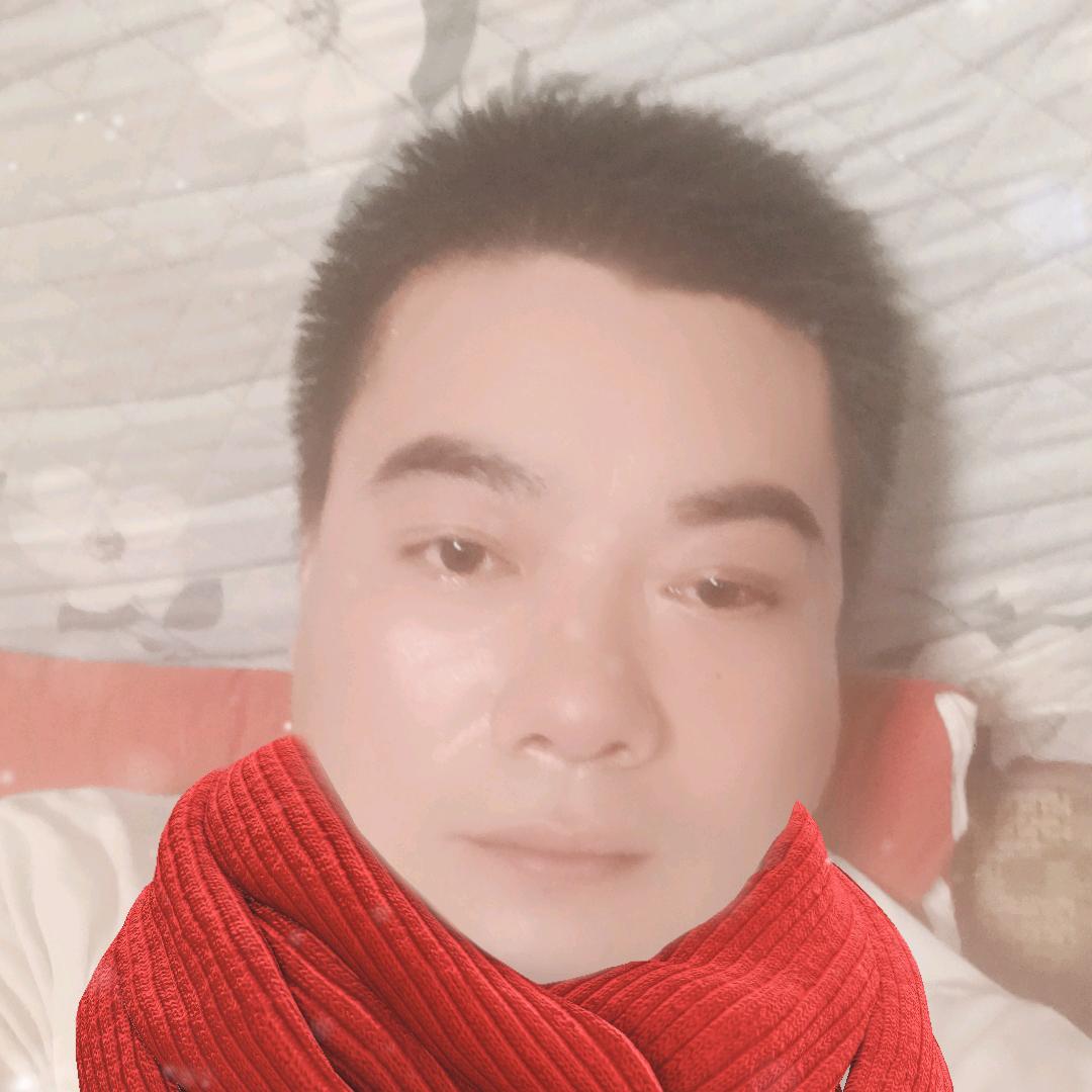 倔犟的田