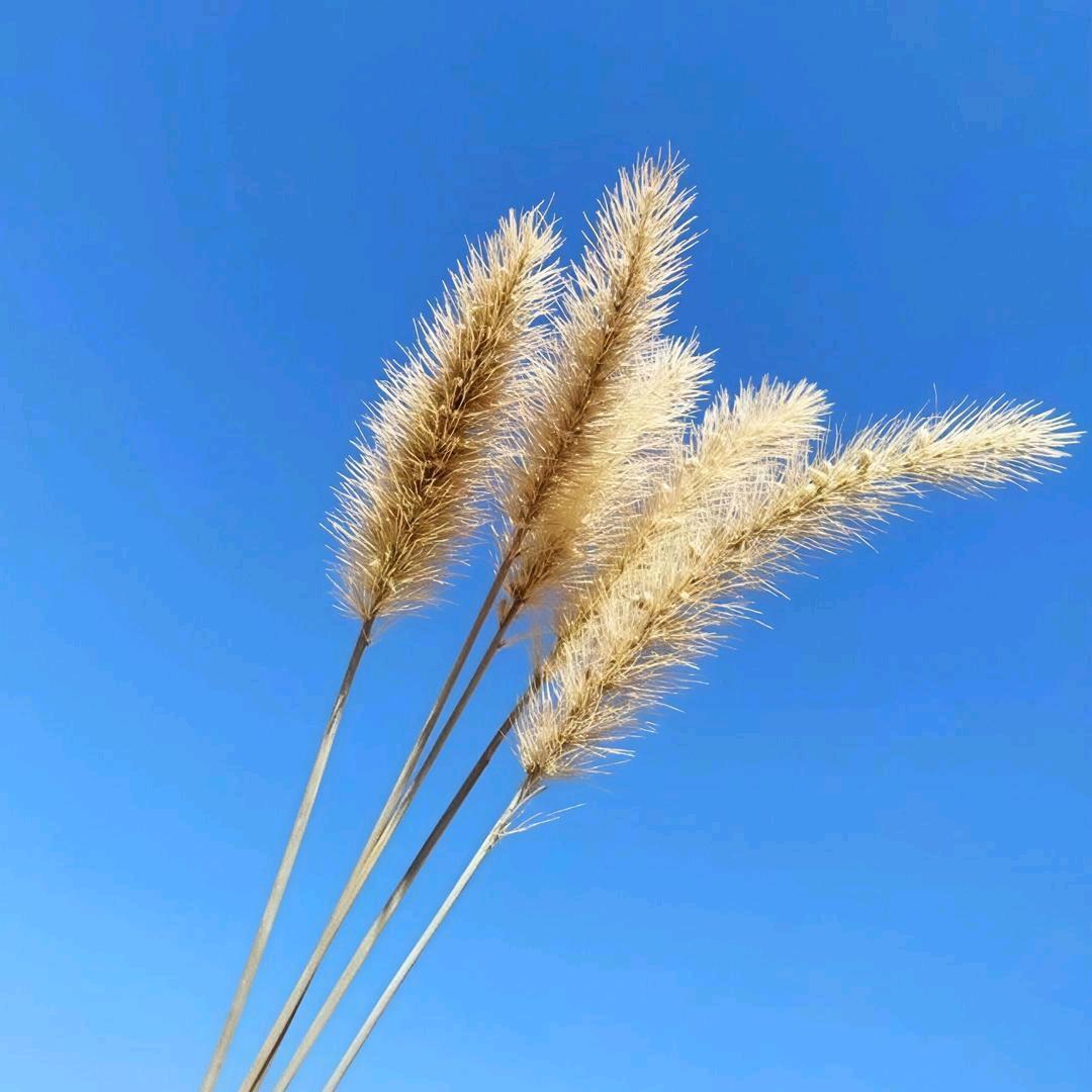 温老师