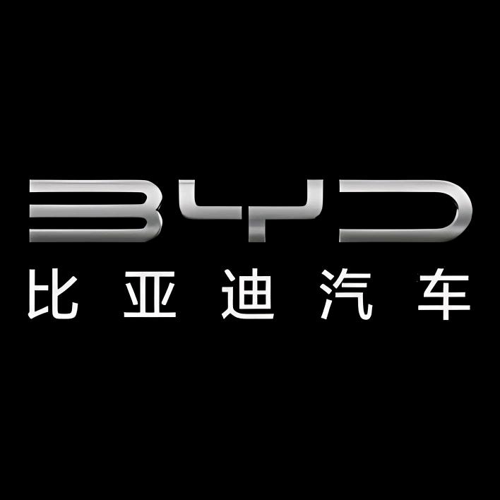 丹东芃森比亚迪对公店