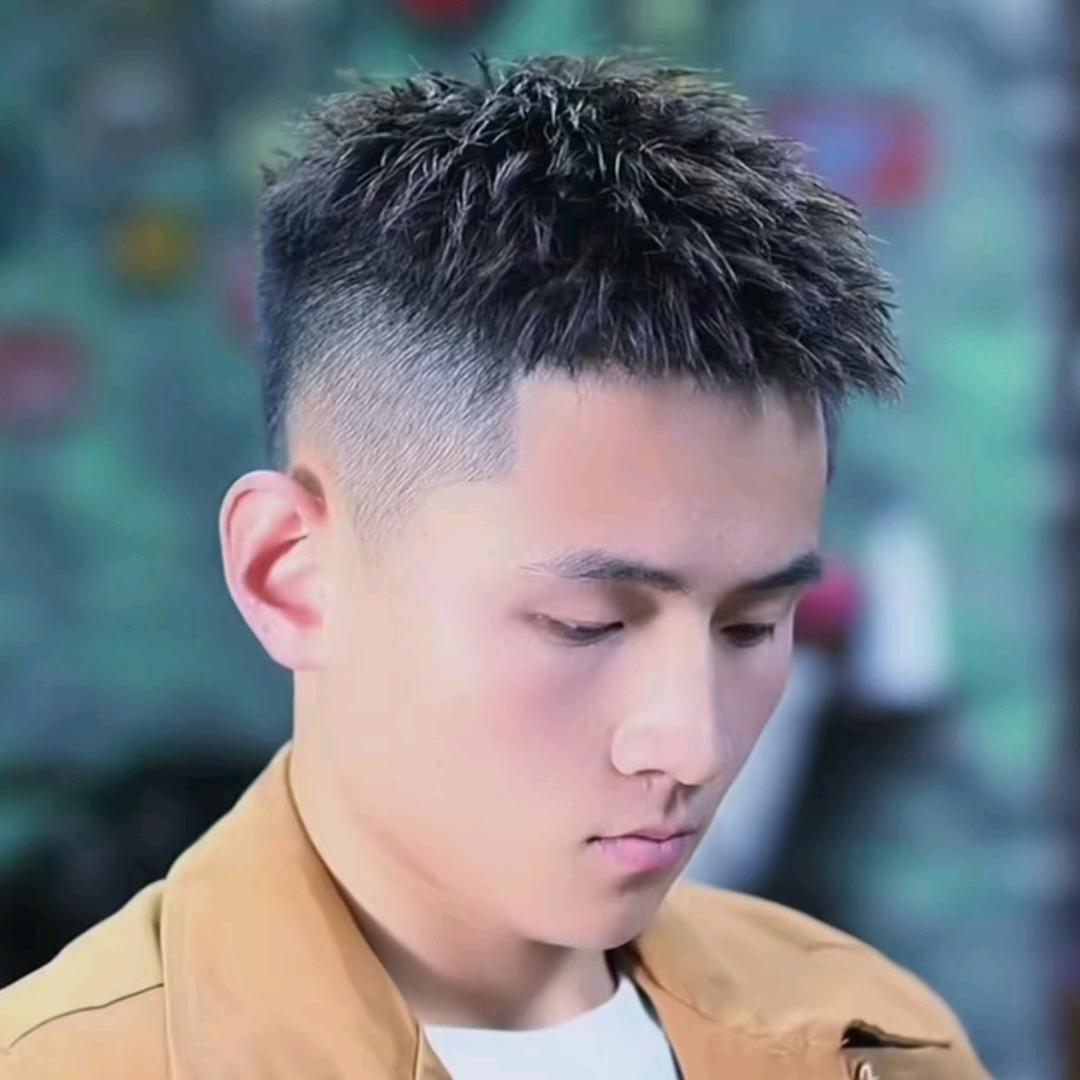 不看太阳的星星