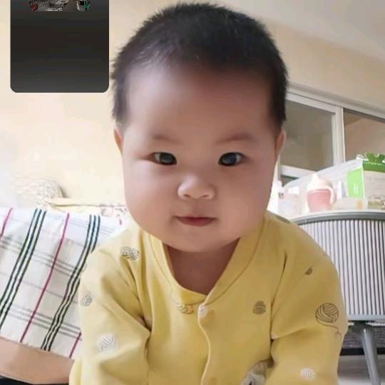 顾姐