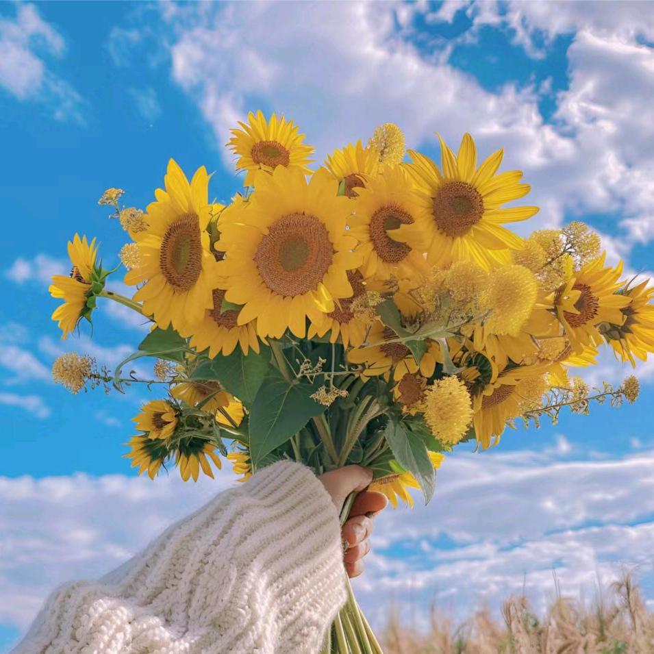 🦋꧁时光ℳঞᩚ再现💞ꦿ᭄࿐