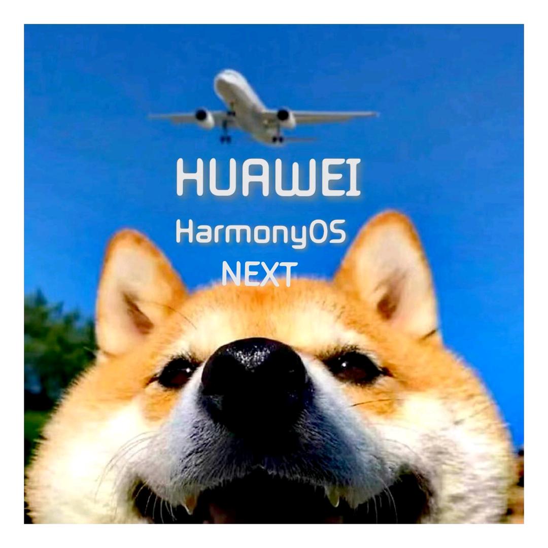 誠•HUAWEI花粉󰠇🇨🇳 󰝜