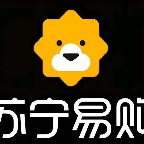 苏宁易购金运店_石头科技