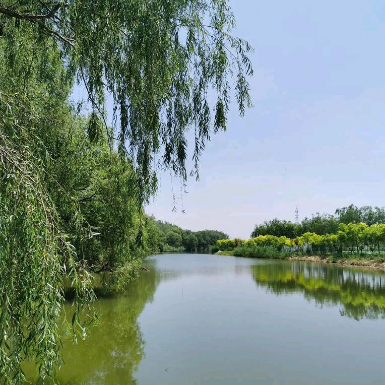 阿波