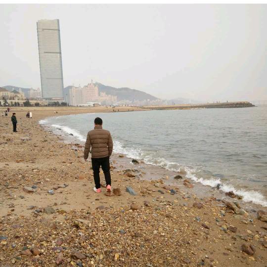 🐕旺旺
