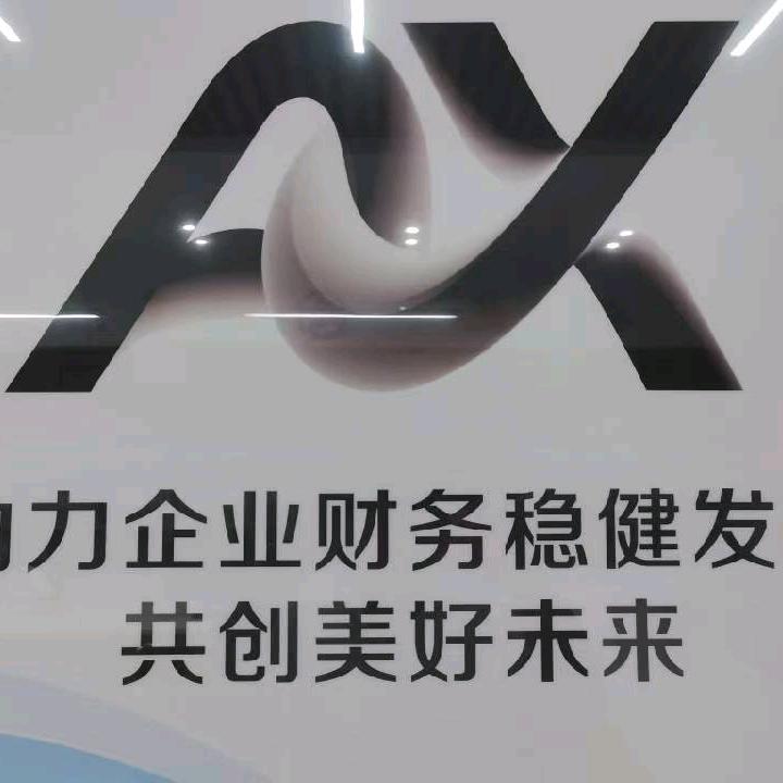 行唐安鑫财务