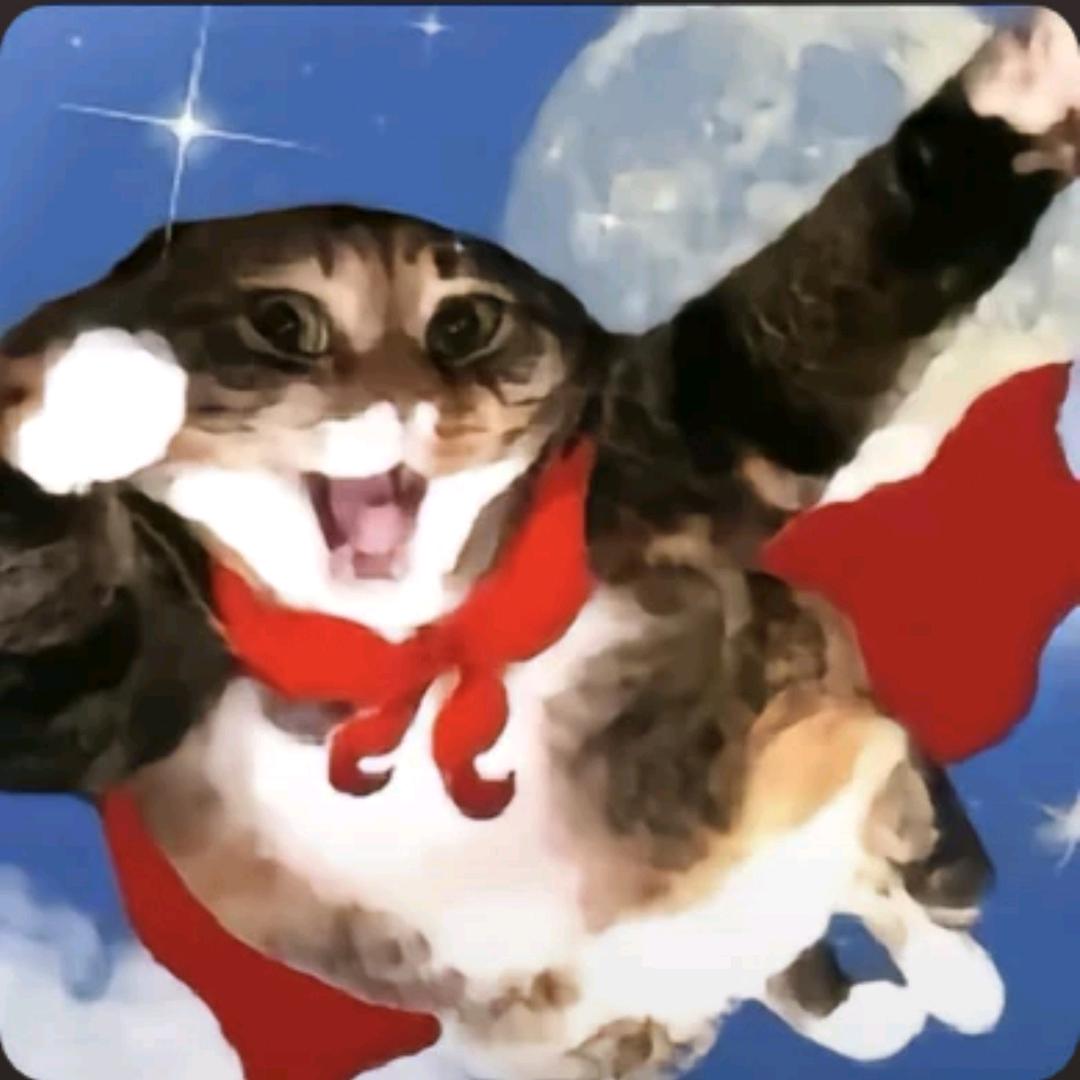 拉普拉斯分块矩阵的回忆