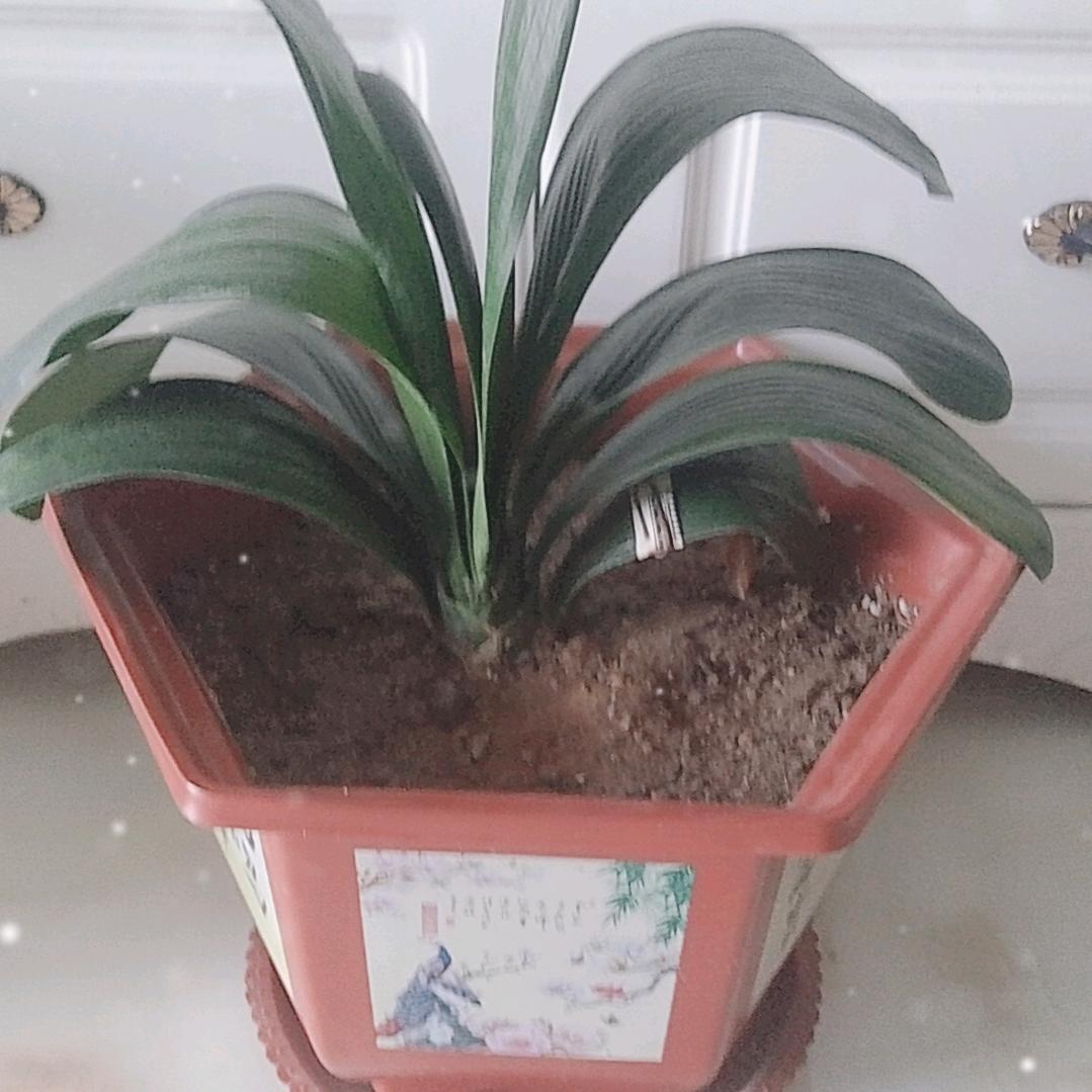 用户911028125807海量