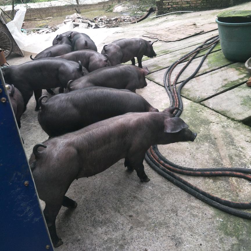 一切看淡，做我自己