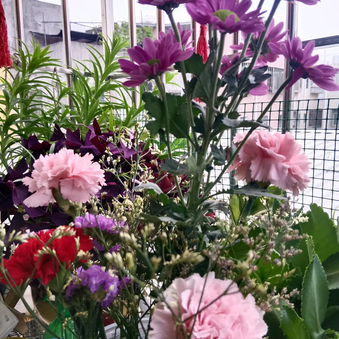 静思芸