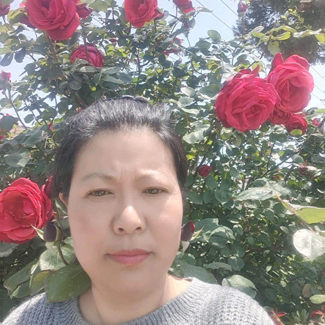 花开富贵啊