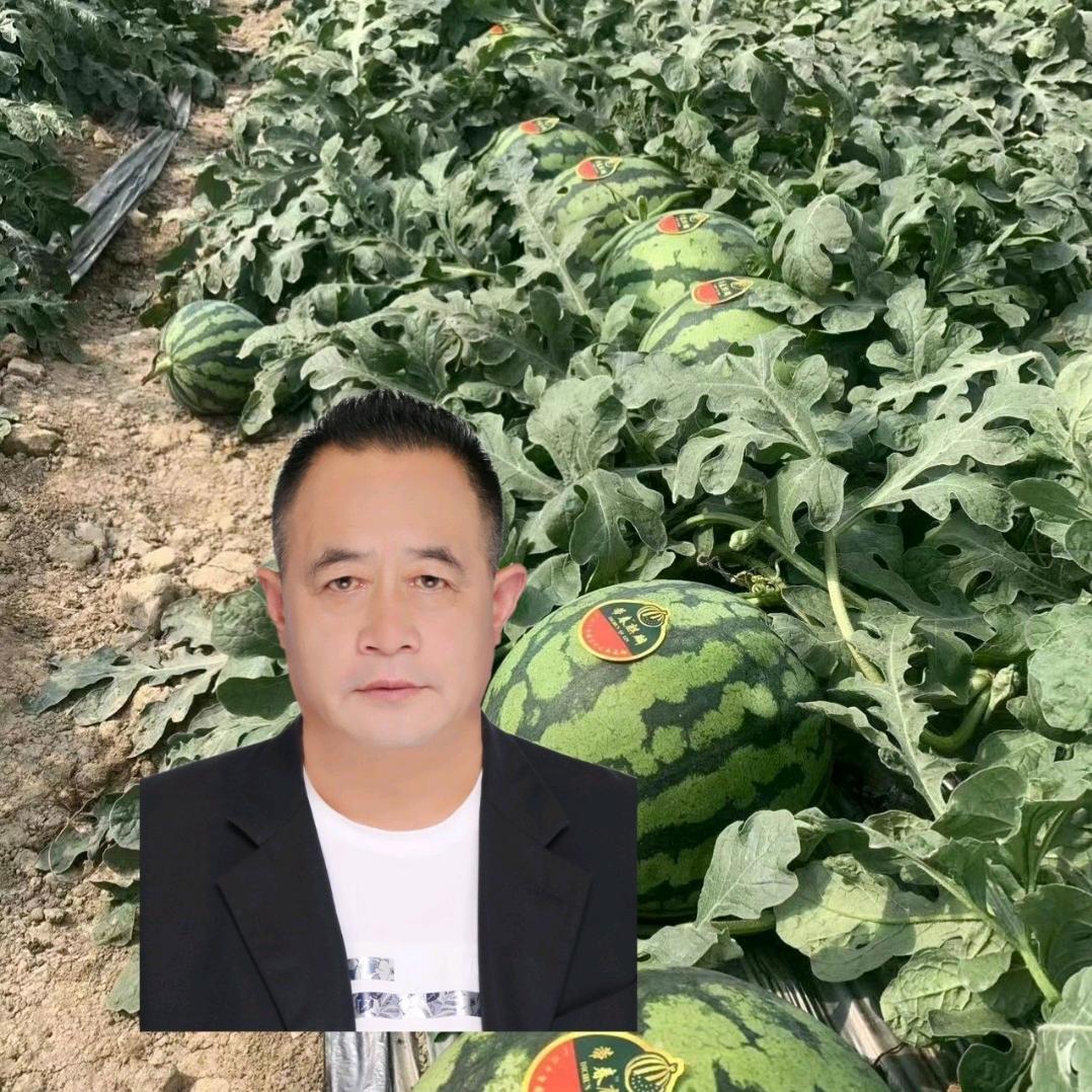 诚信西瓜哥