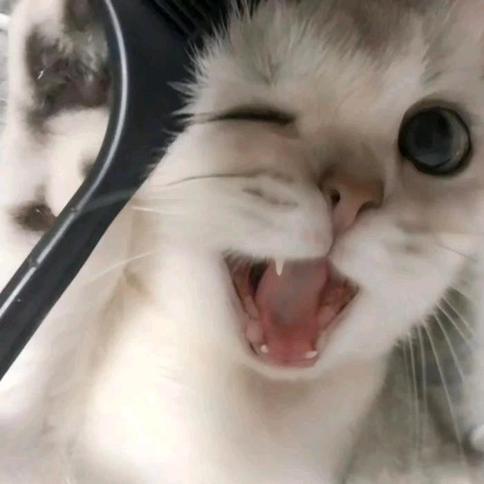 下一次
