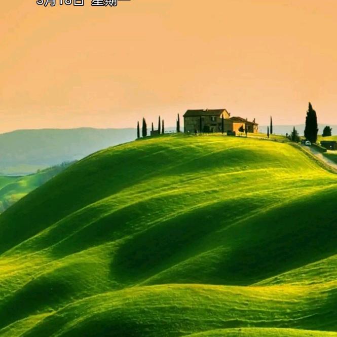 诚信做人，诚信做事🥰🥰🥰🥰