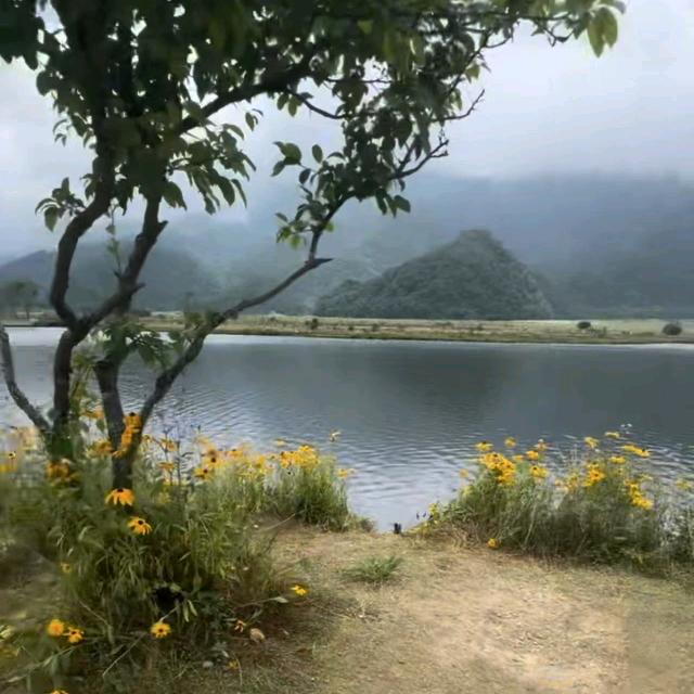 银隆35安钛酸锂 赵哥锂电