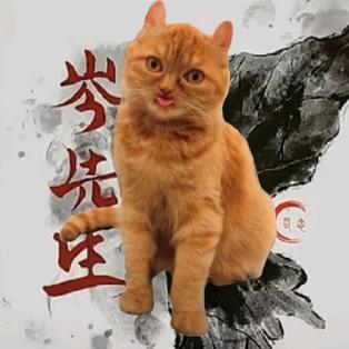 ✨满眼星岑🌸（别忘记投票）