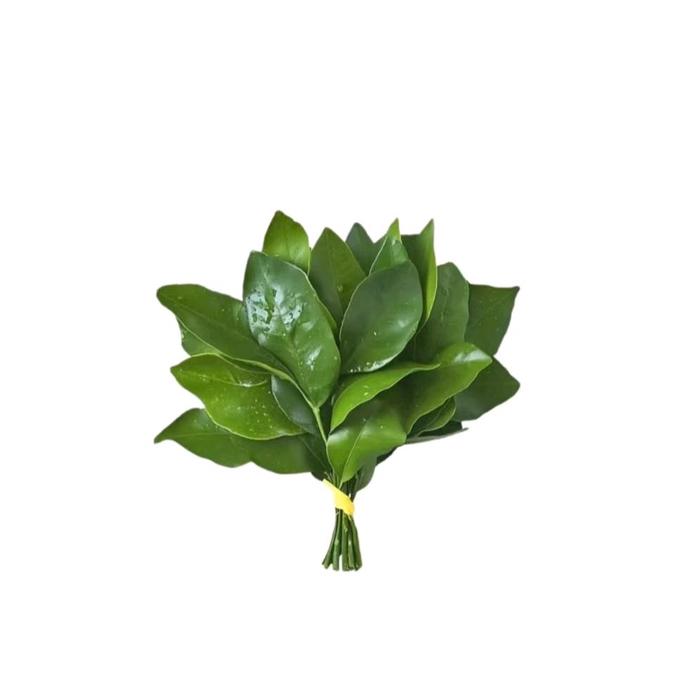 晚上郝