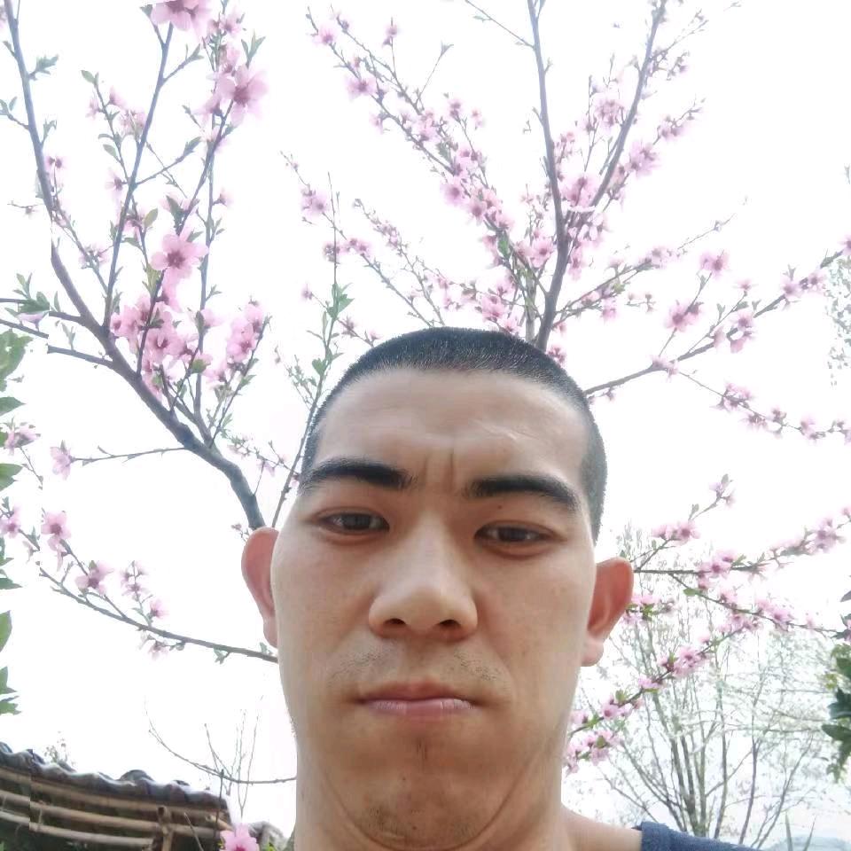 杨新