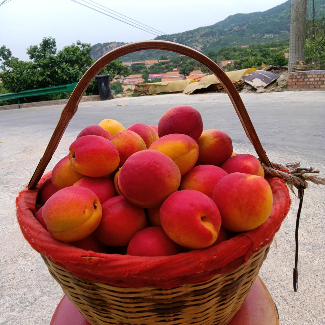 越来越好（山公鸡，年猪肉，山鸡蛋）