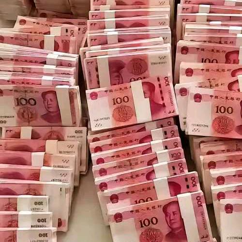 开心快乐每一天，白玫瑰