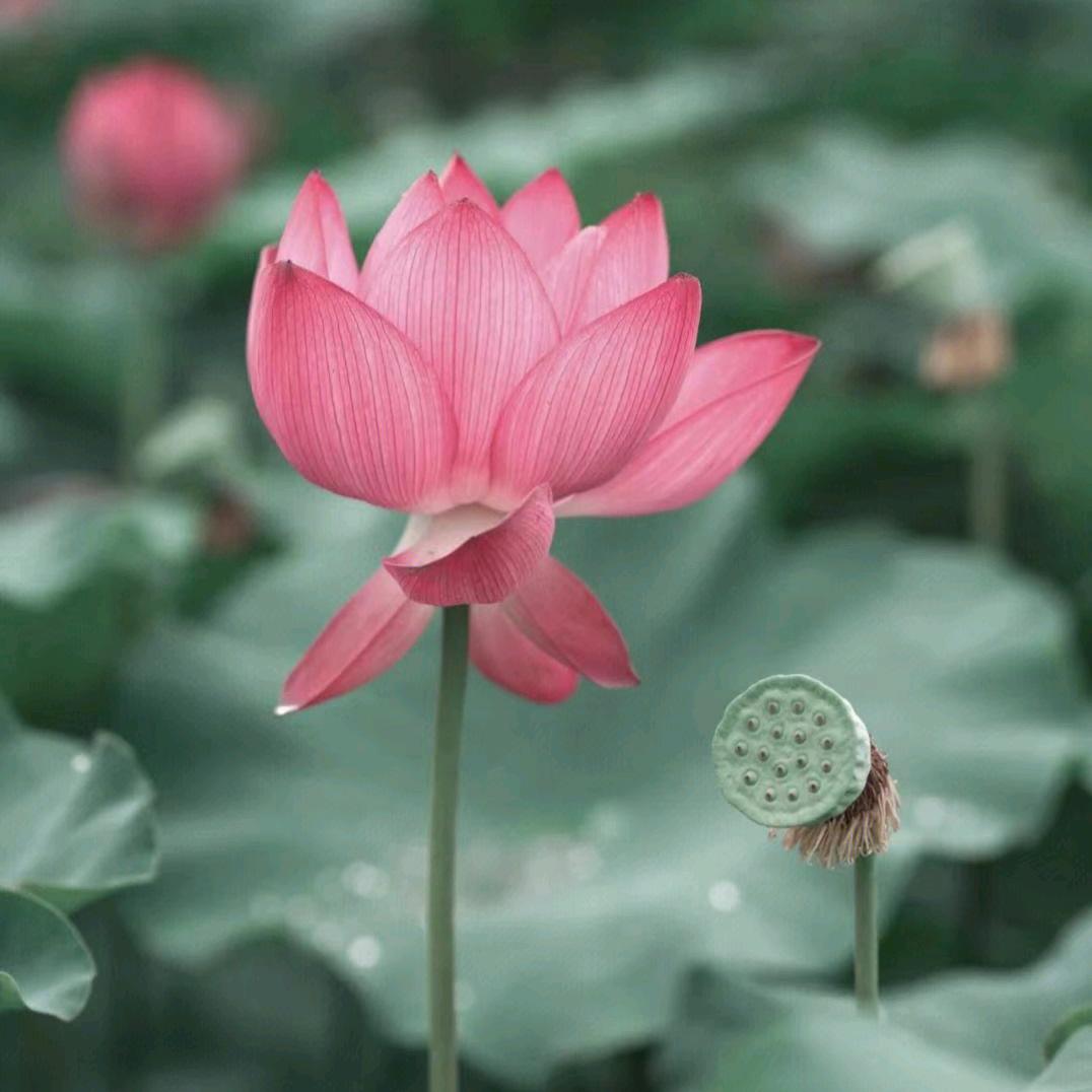 修心，修口，修身，