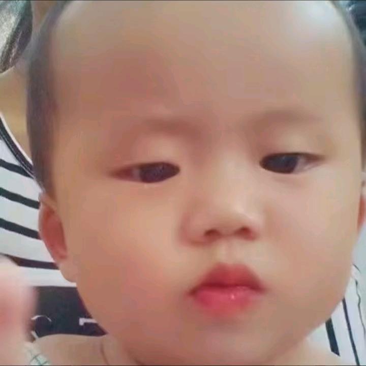 三和春🐨小狗喜欢追小兔子 🐰