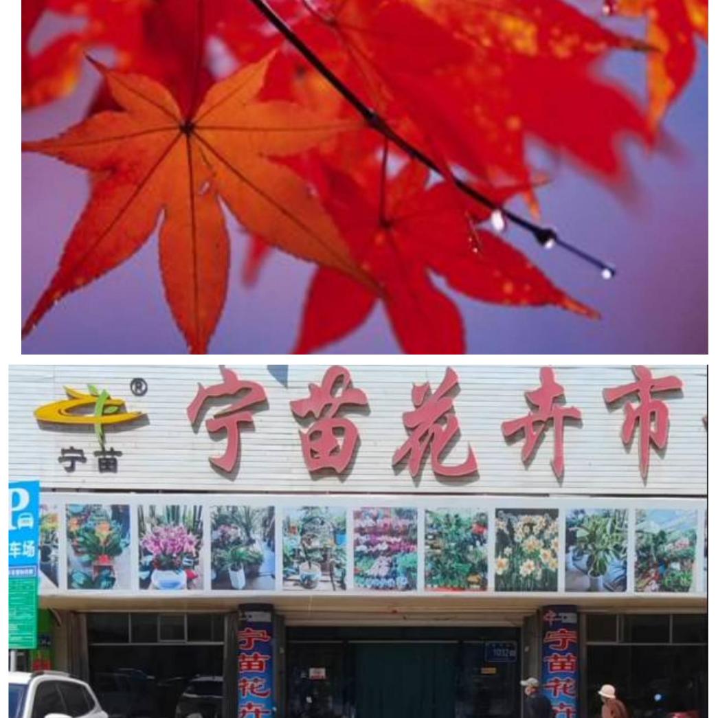 上善若水_213037605