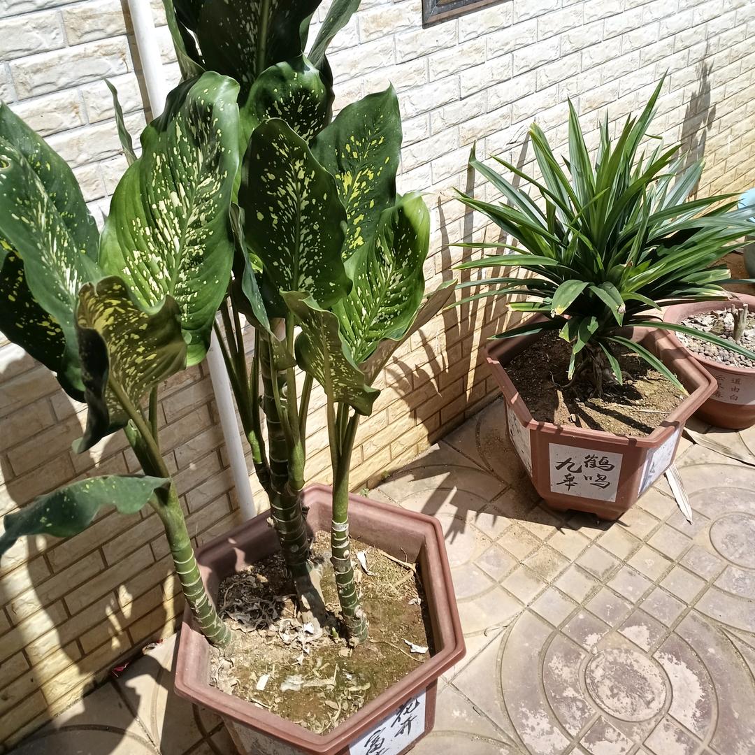 过得积极是为了生活
