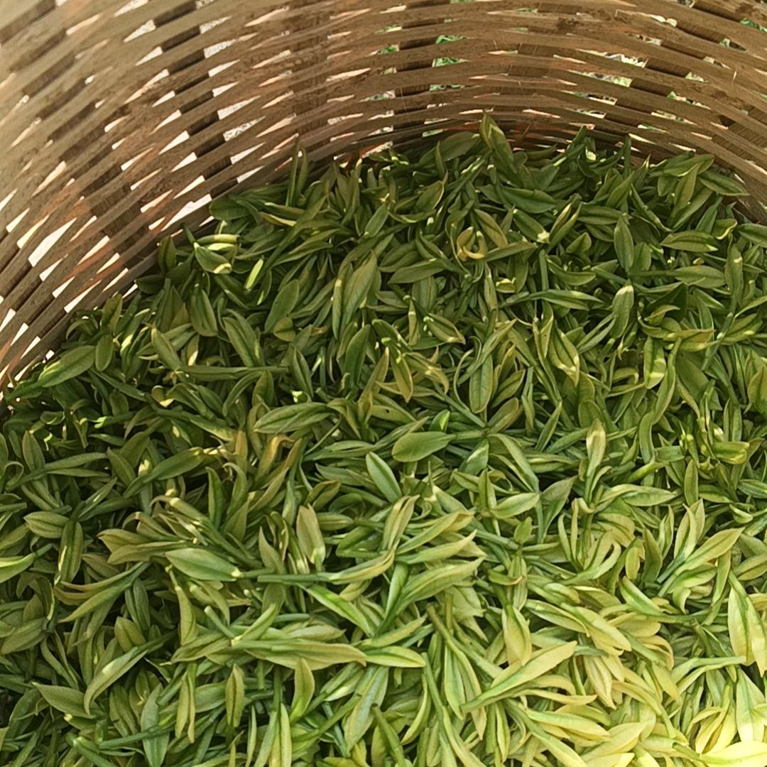 什么千奇百怪的人都有