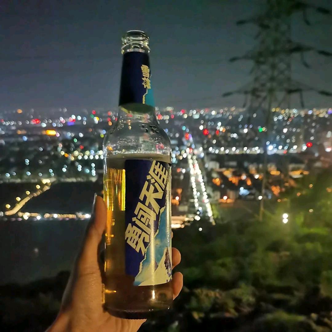 南阳路桥