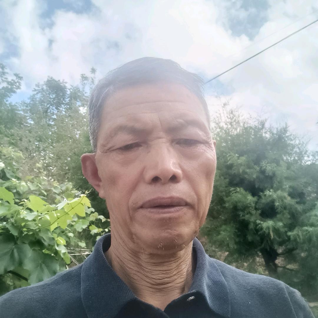 多多哥