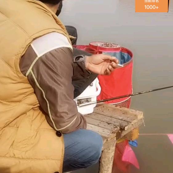 为娱也为鱼🐟