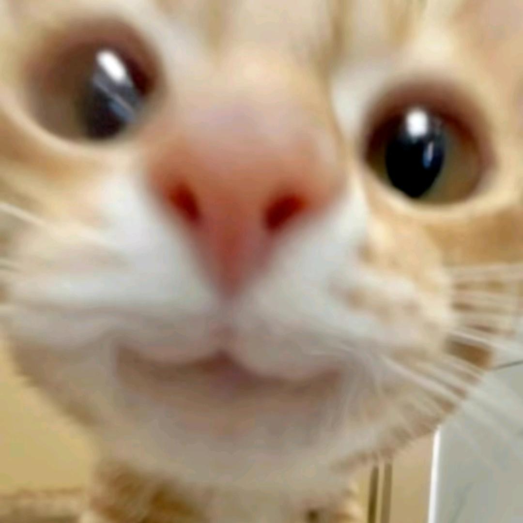 ♤