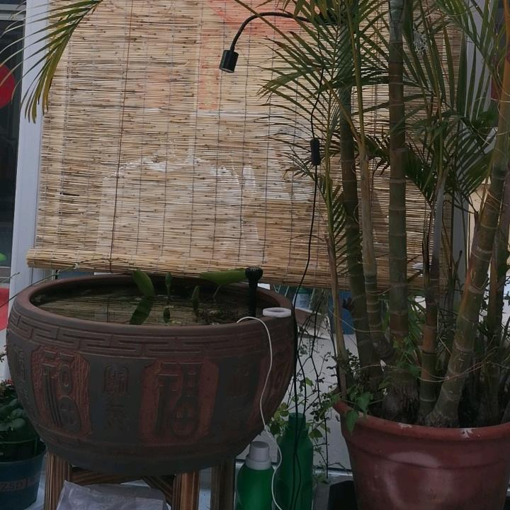 与夜漫舞