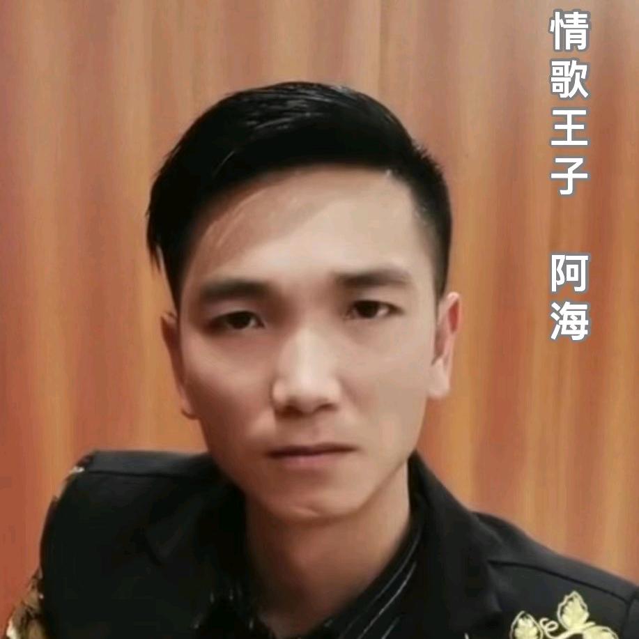 情歌王子      阿海