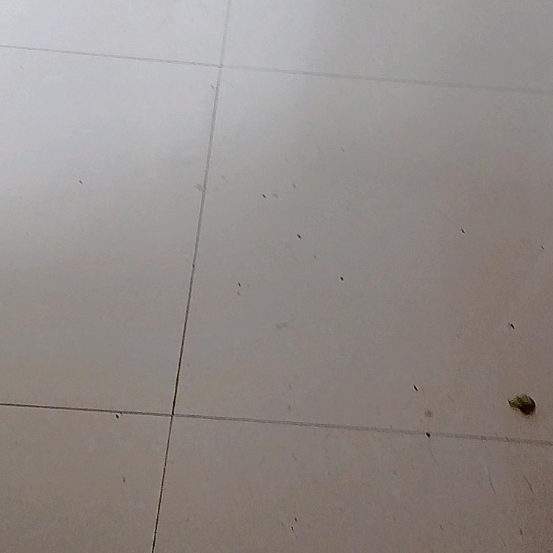 我是趙帅哥′
