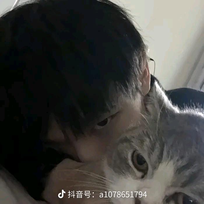 我爱大鹅