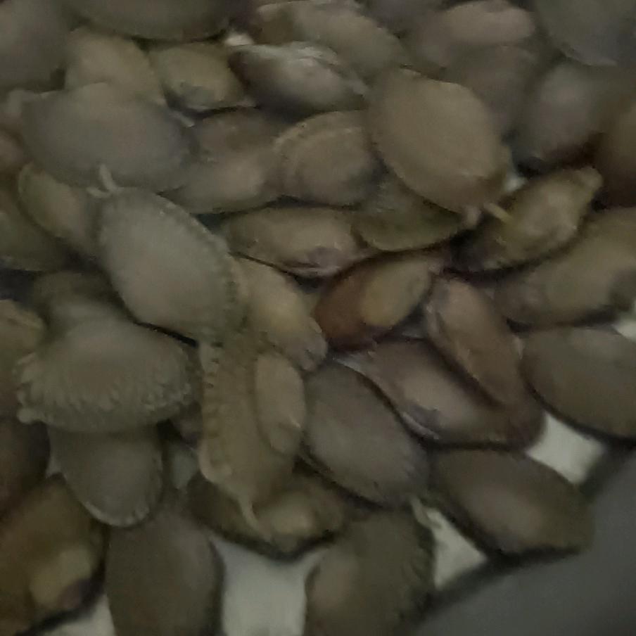 简单