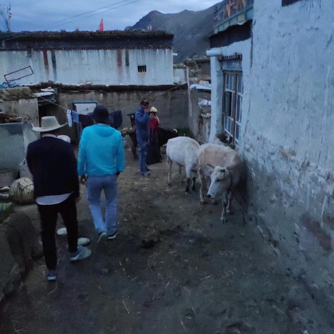 赣启（杨狮凫）