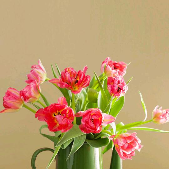 石幼专香酥牛肉饼恋土豆粉