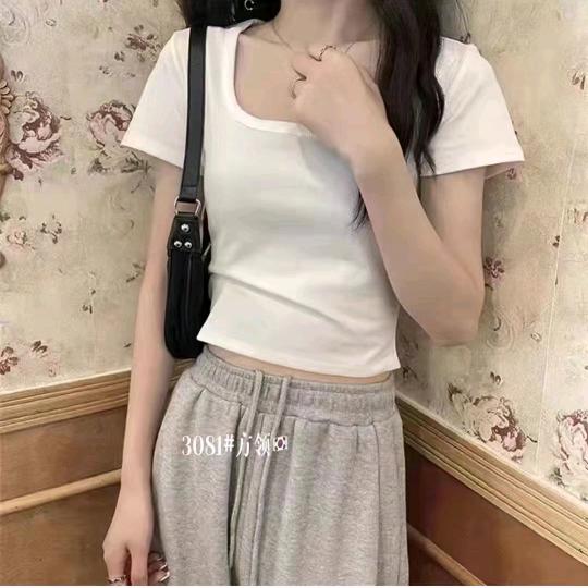 随风小九