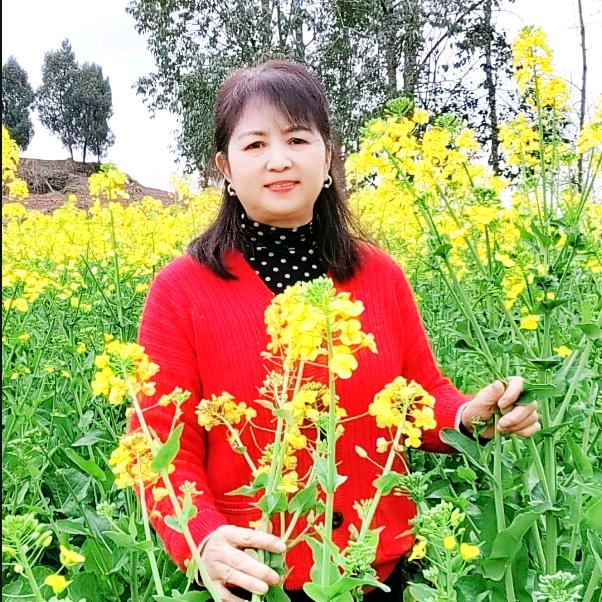 芳姐