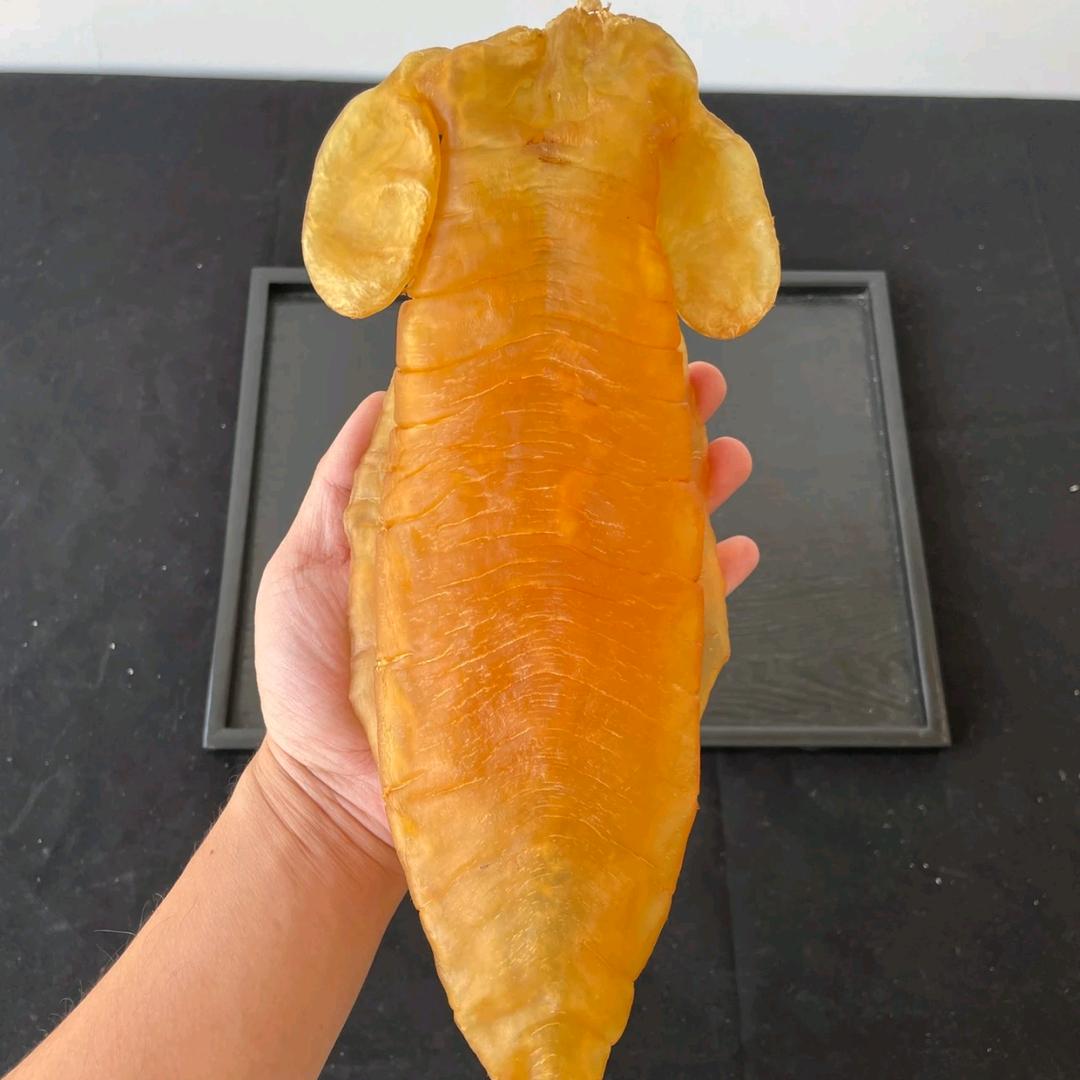 雄心滋补品雄壮鱼胶