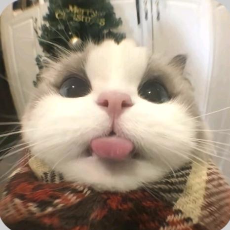 早點睡.