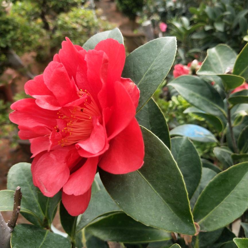 珍惜自己，财源茂盛