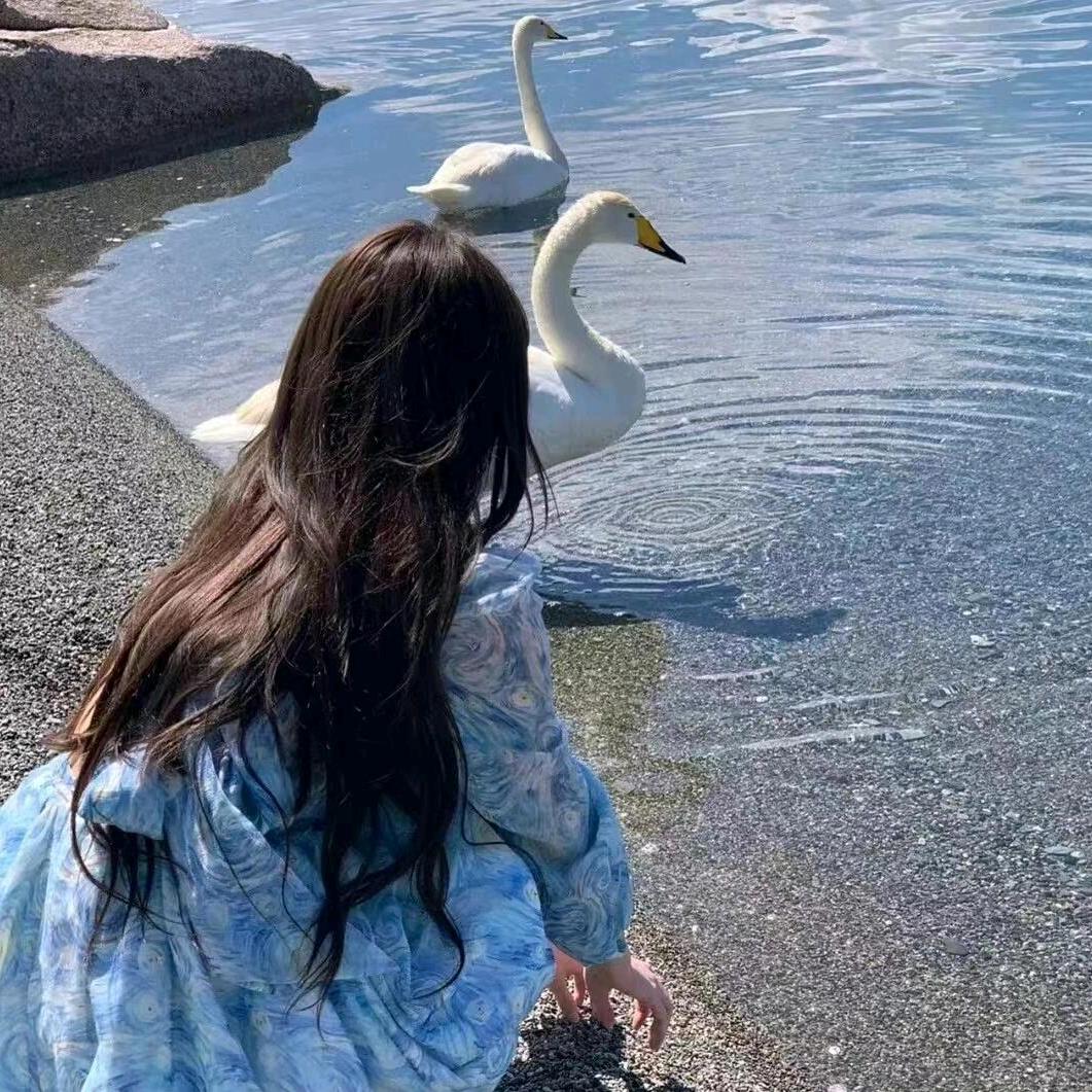 一只小浣熊