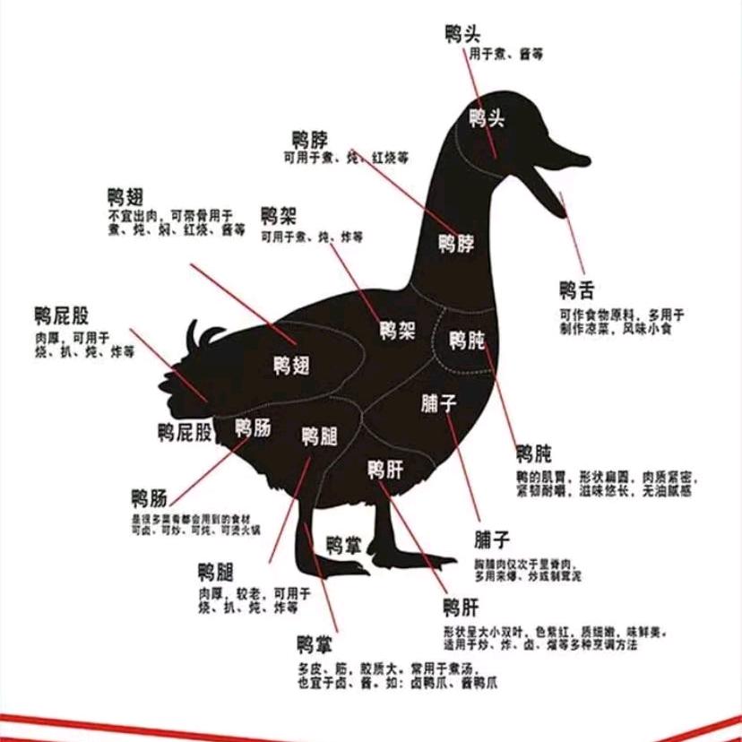 临沂鑫悦食品有限公司～公小倩