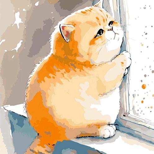 爱猫咪在上海